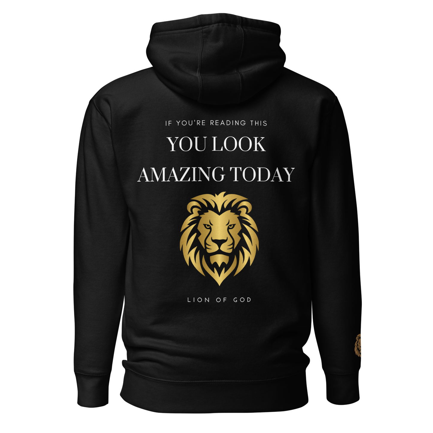 Arielle: You Look Amazing Today Hoodie